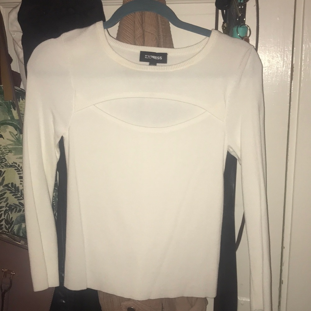 EXPRESS sweater
